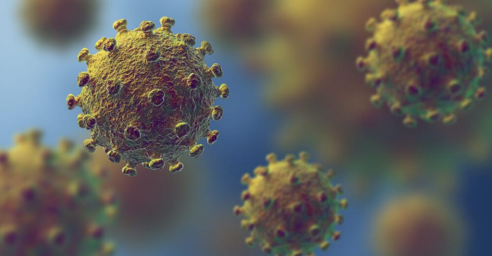 Business And Employers Bulletin