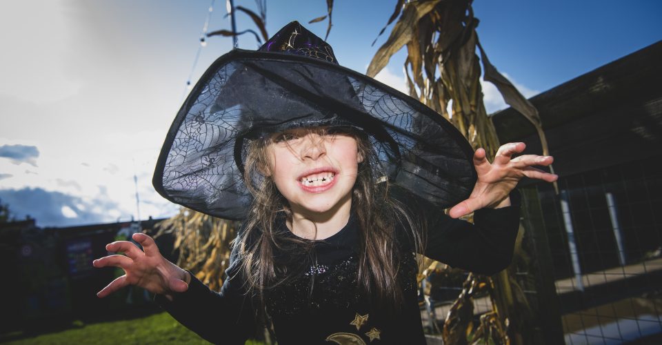 #EnjoyStaffsSafely this autumn at National Forest Adventure Farm