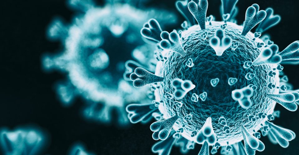 Business Grants & Support by Local Authority